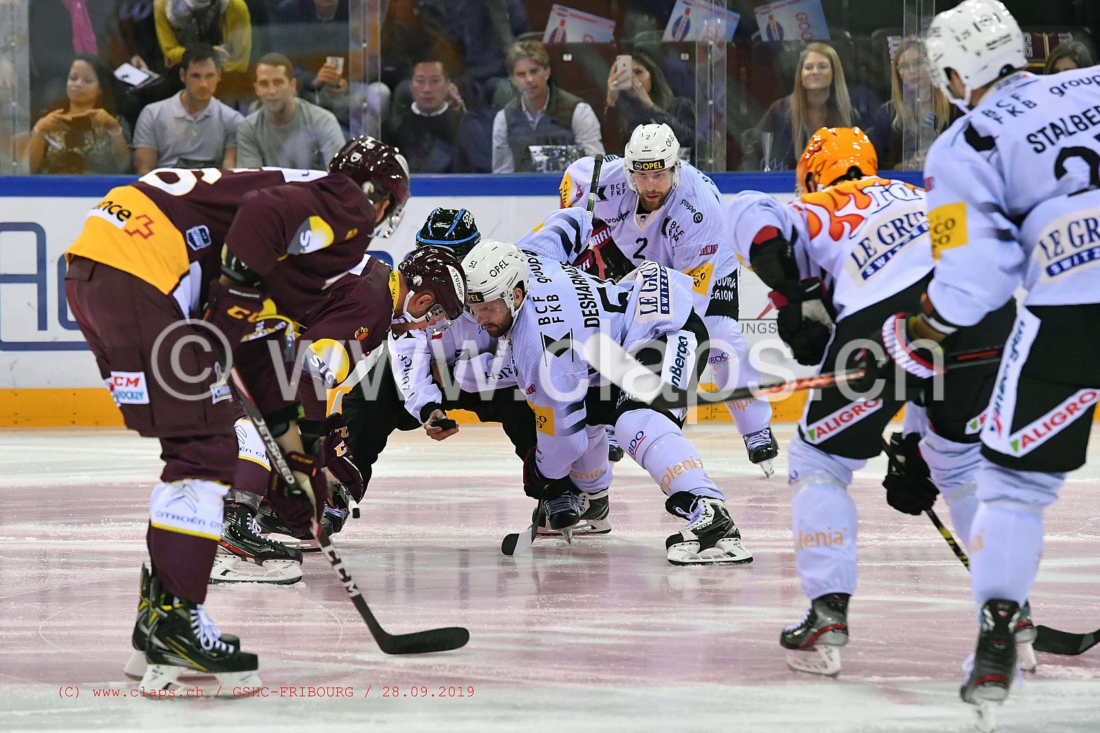 GSHC - FRIBOURG