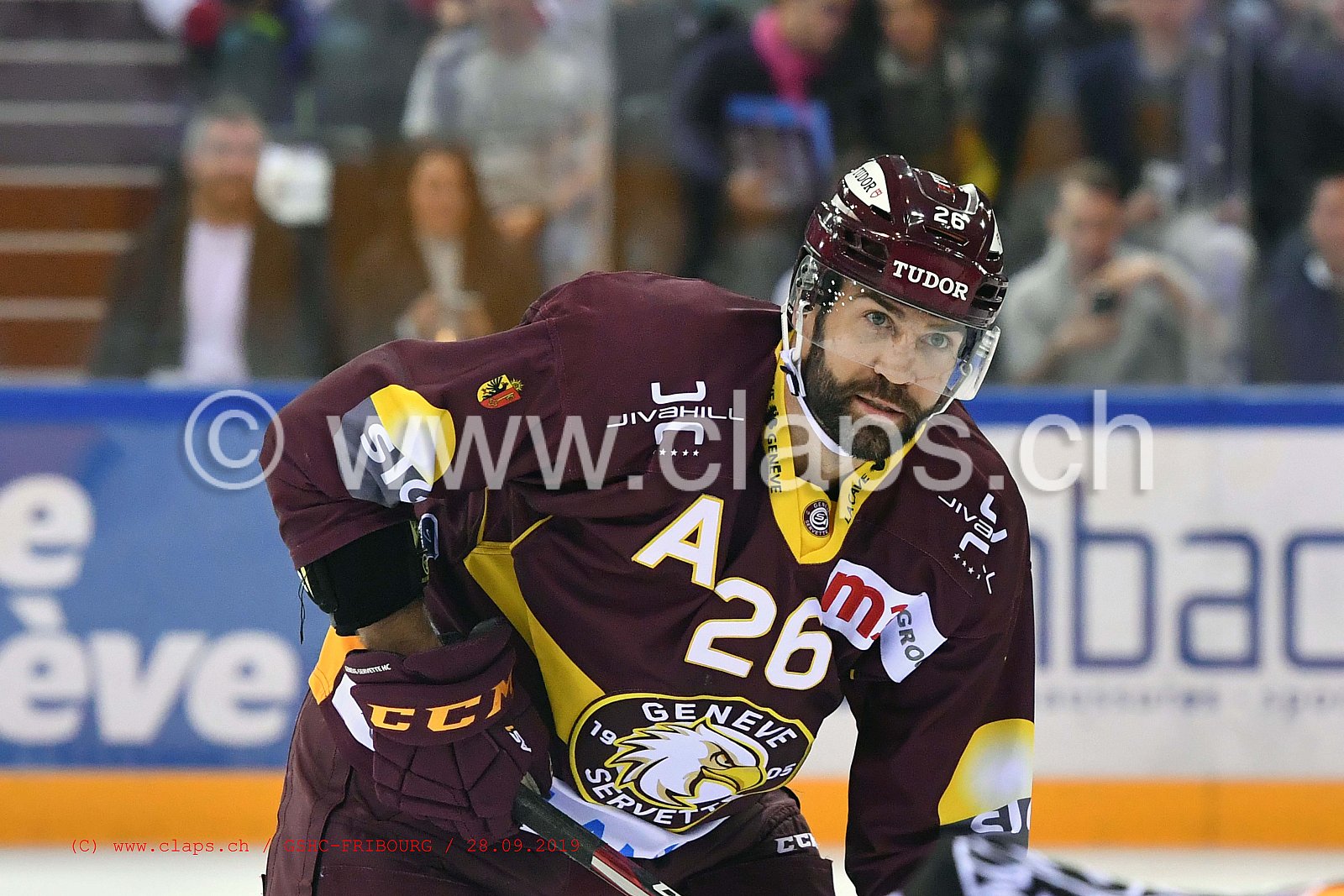 GSHC - FRIBOURG