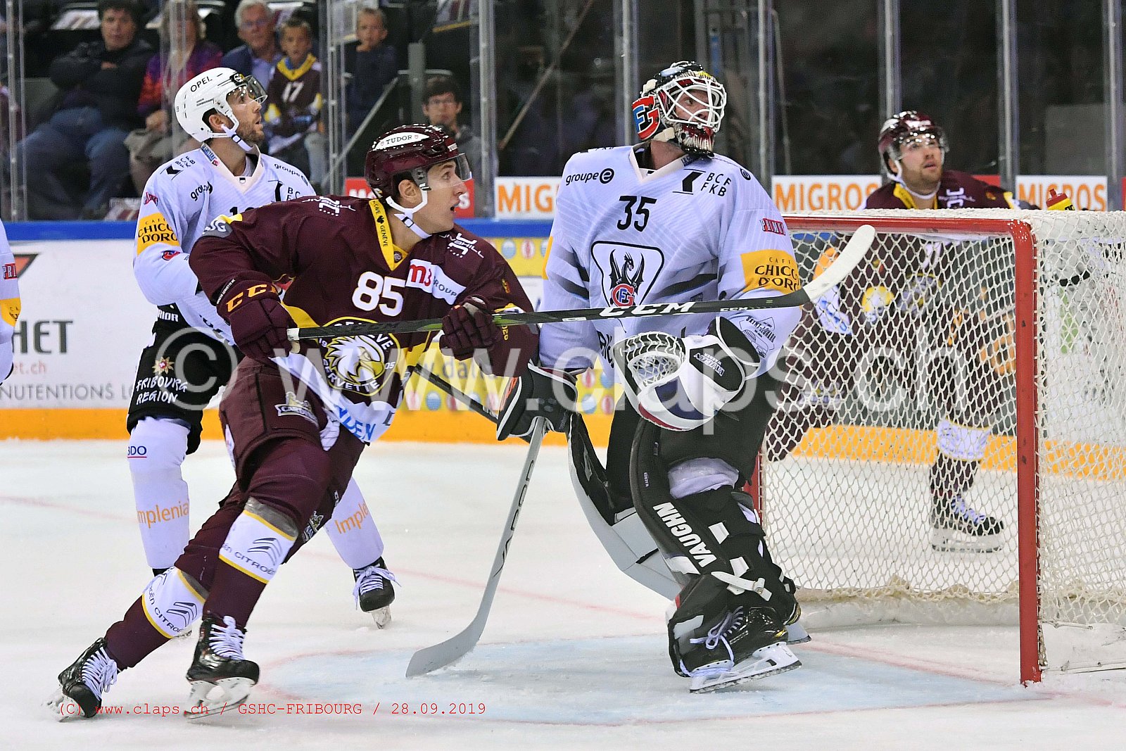 GSHC - FRIBOURG
