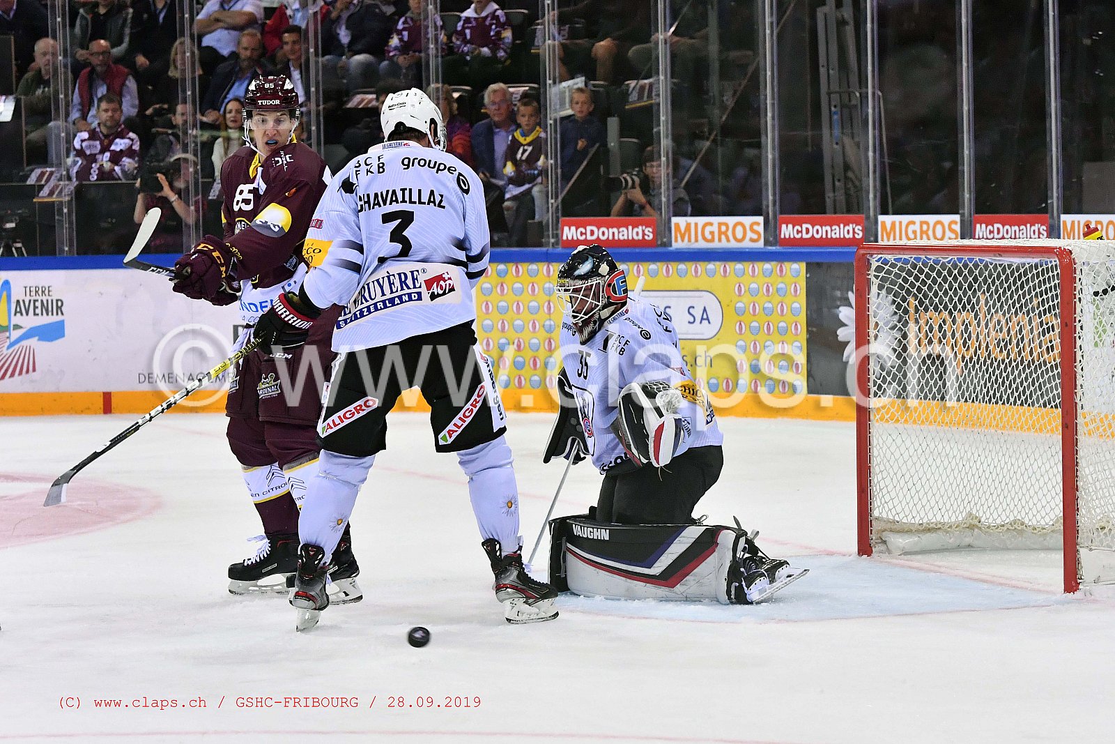 GSHC - FRIBOURG