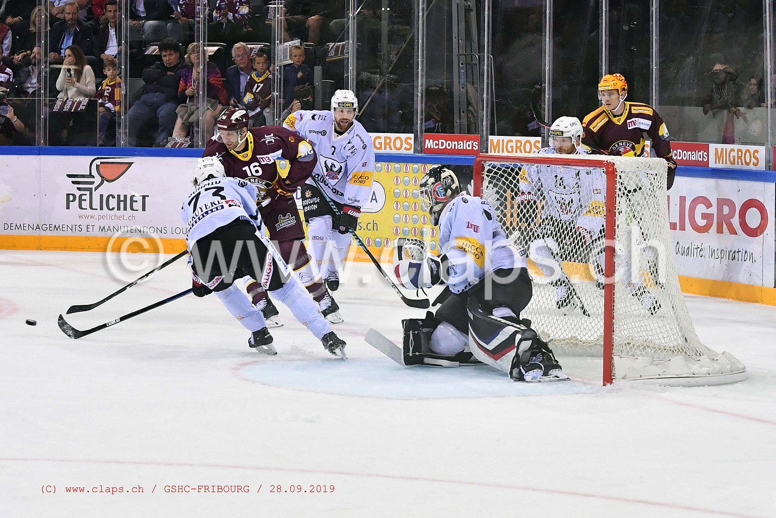 GSHC - FRIBOURG