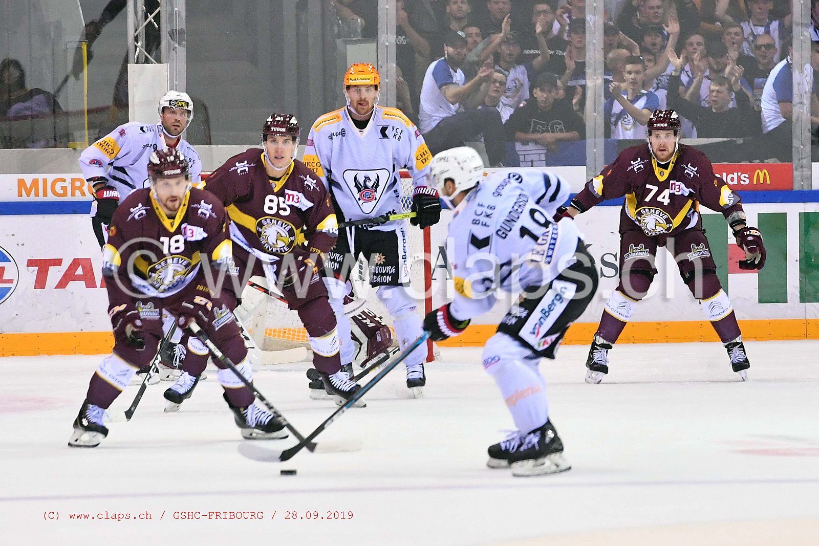 GSHC - FRIBOURG