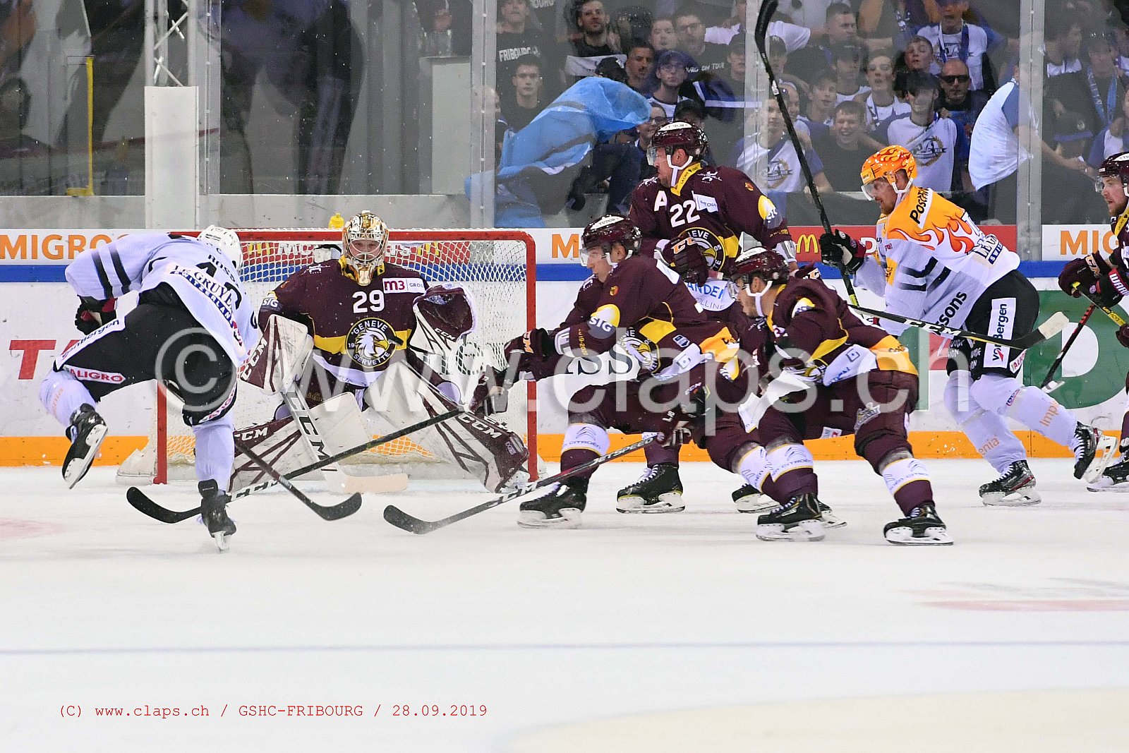 GSHC - FRIBOURG