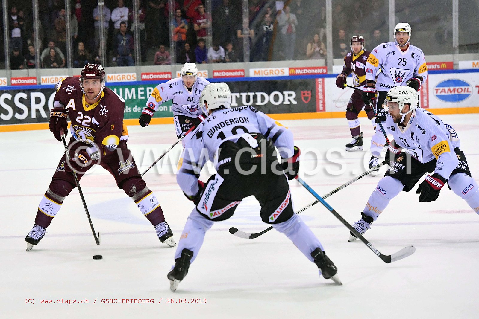 GSHC - FRIBOURG
