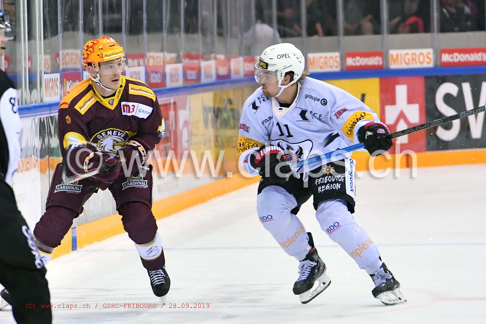 GSHC - FRIBOURG