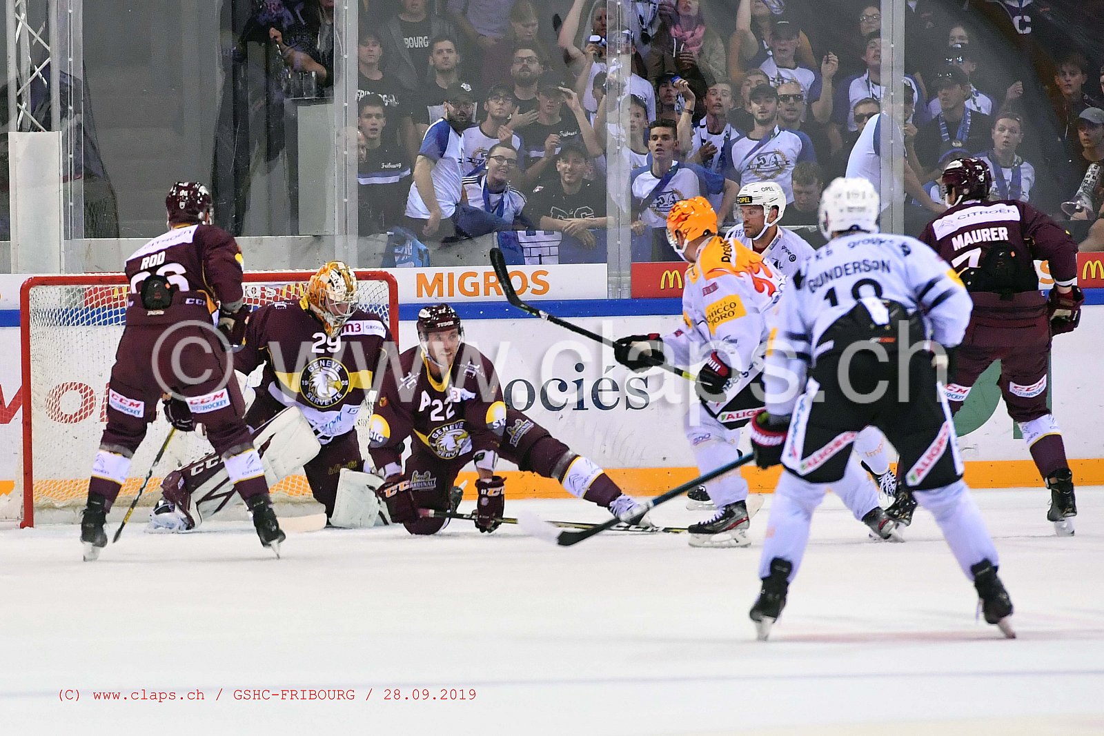 GSHC - FRIBOURG