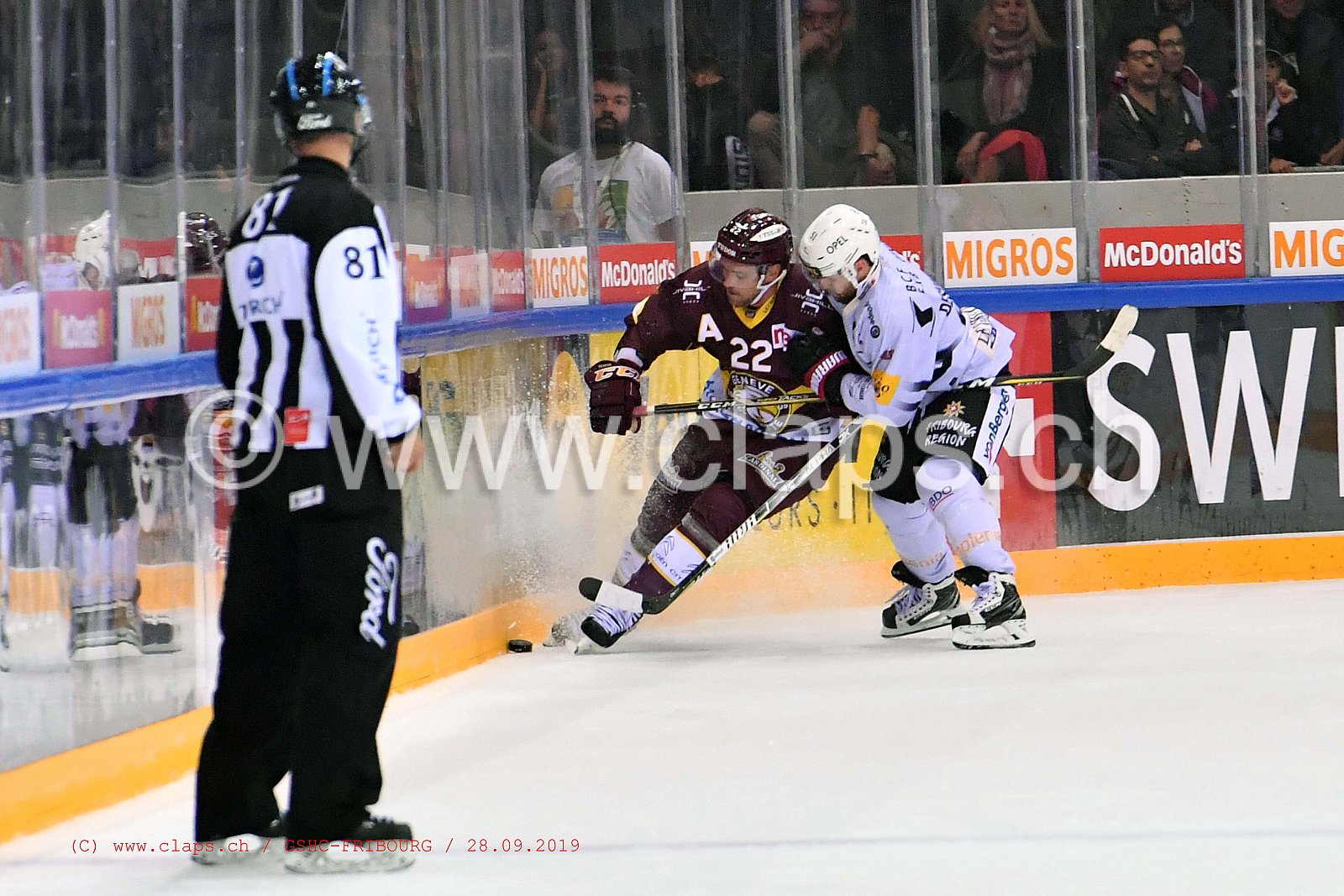 GSHC - FRIBOURG