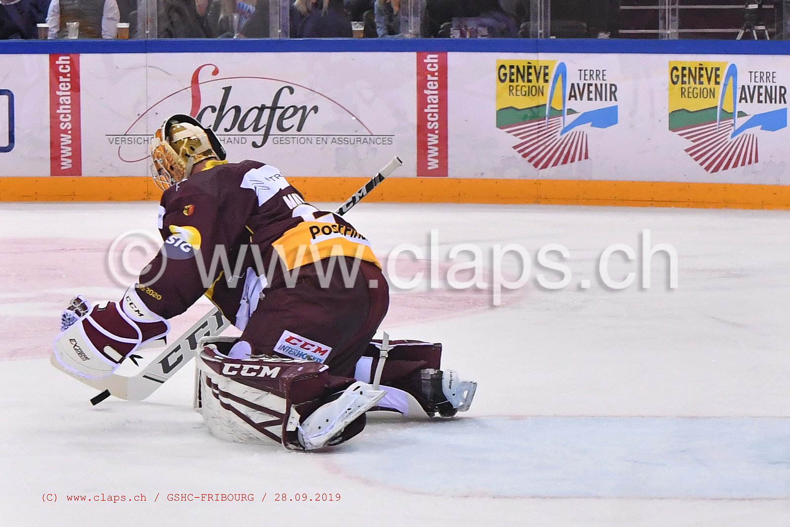 GSHC - FRIBOURG