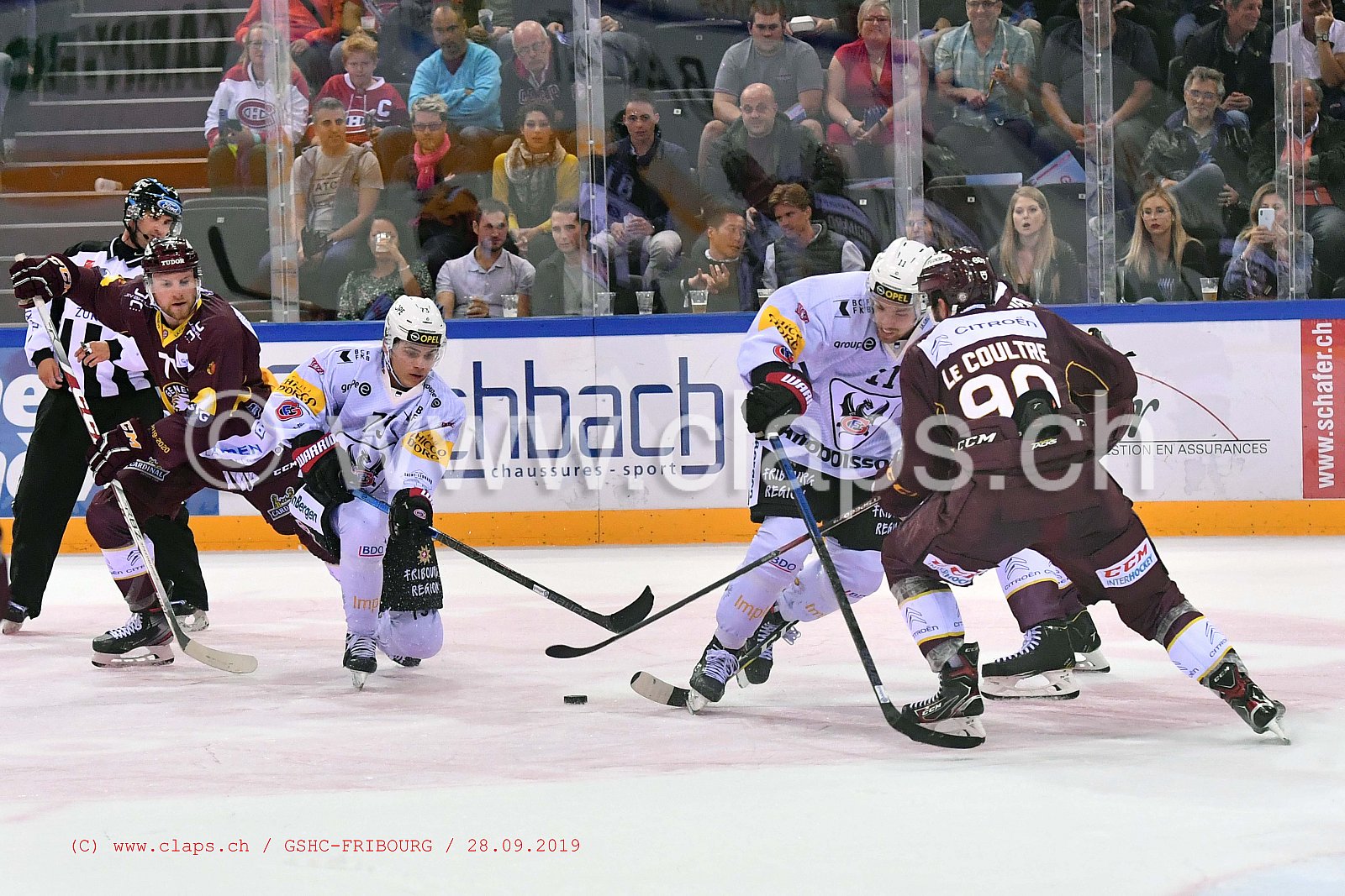 GSHC - FRIBOURG