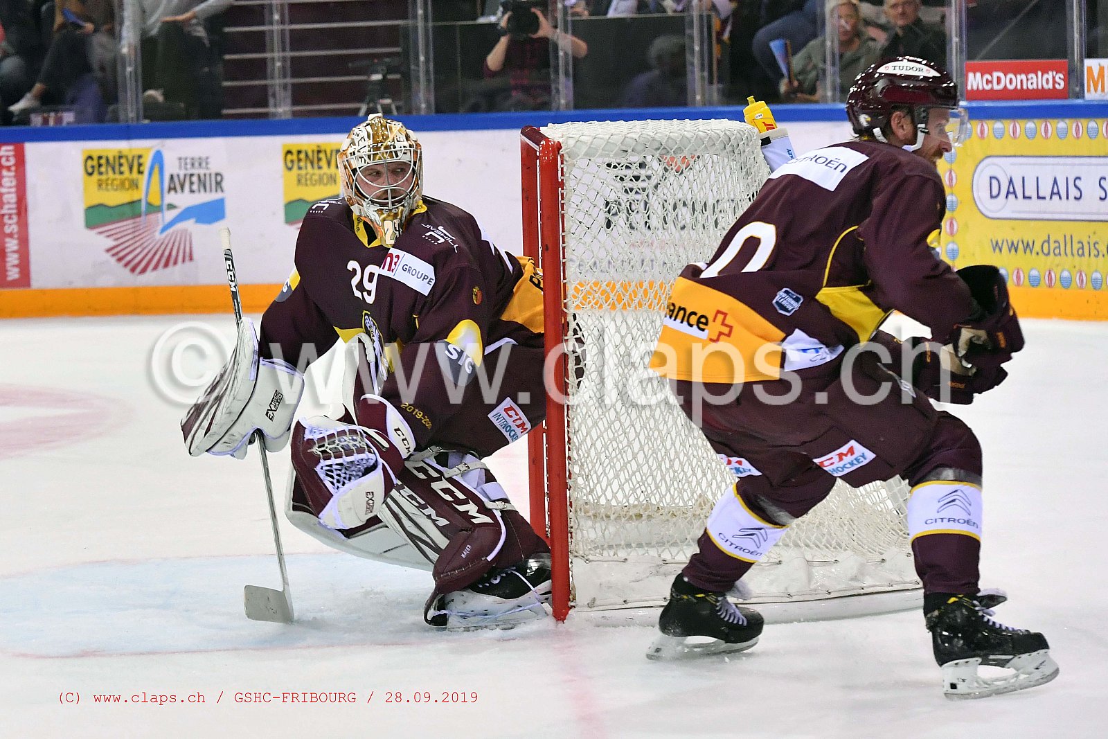 GSHC - FRIBOURG