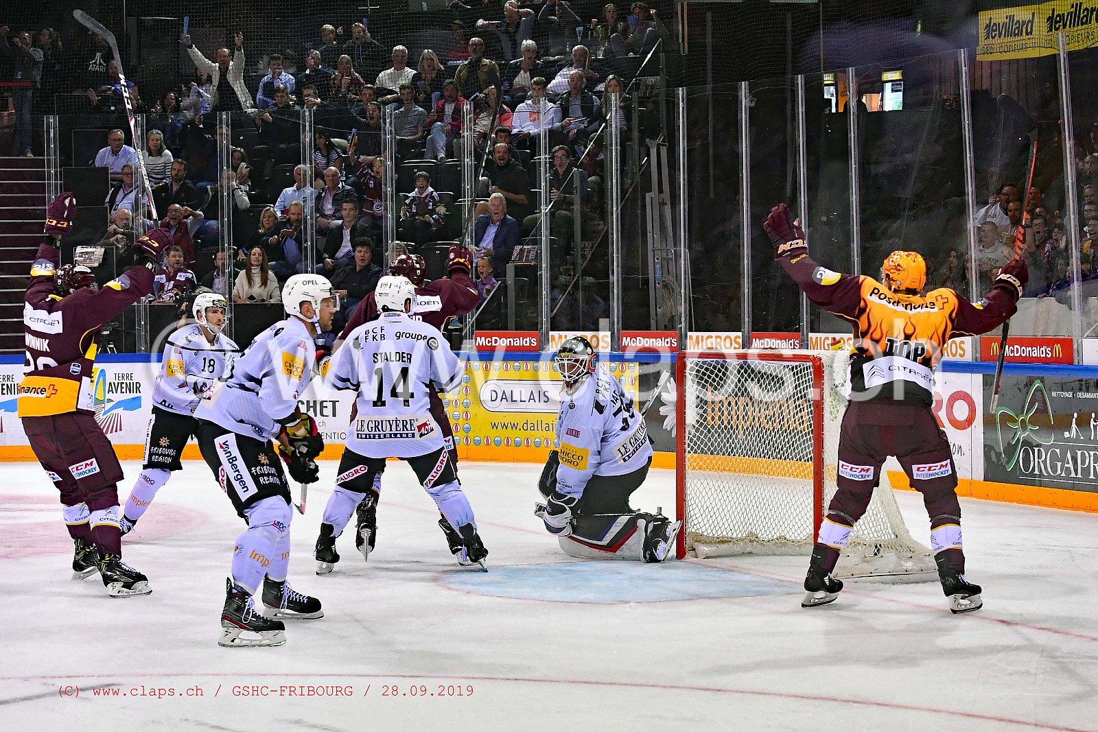 GSHC - FRIBOURG
