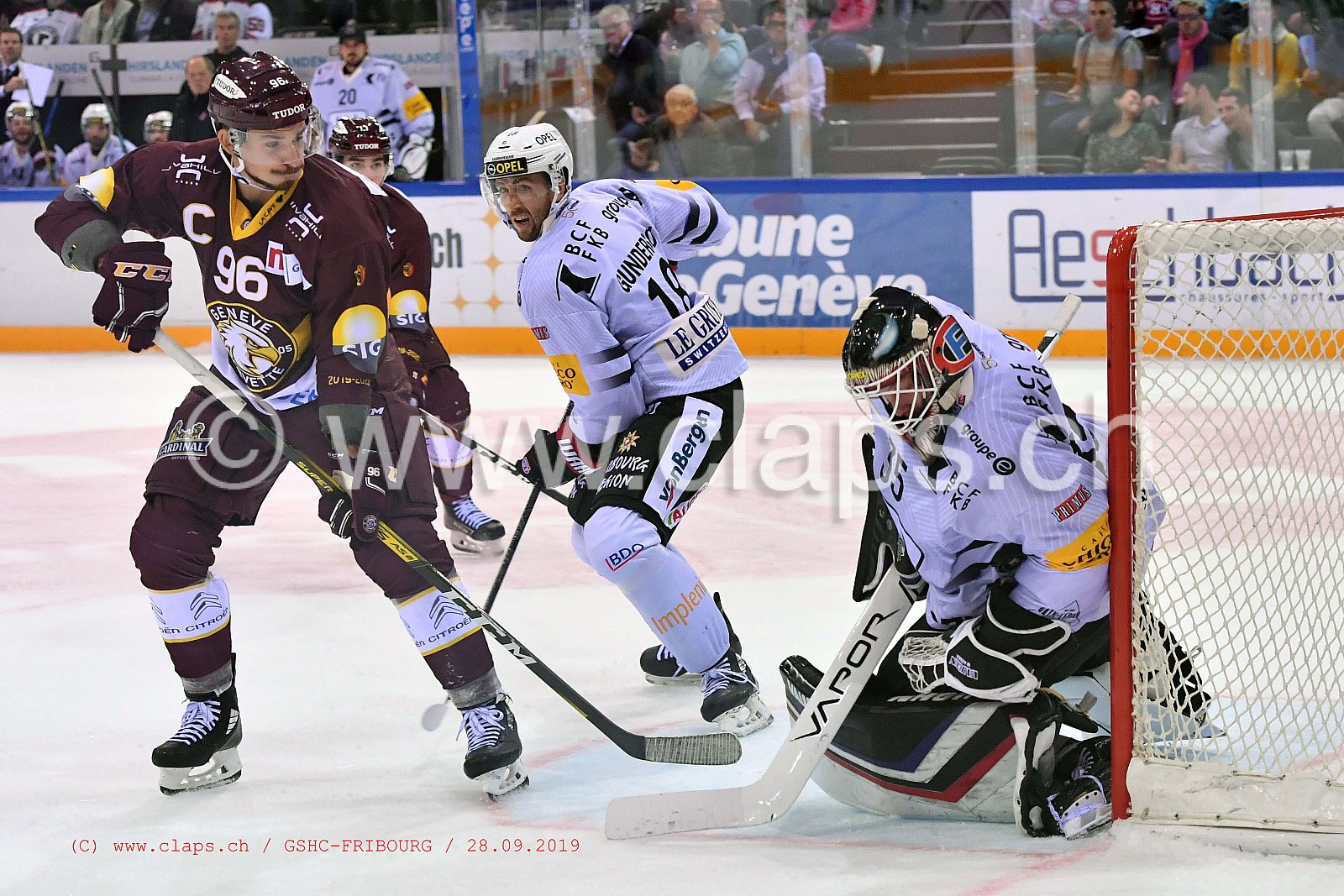 GSHC - FRIBOURG
