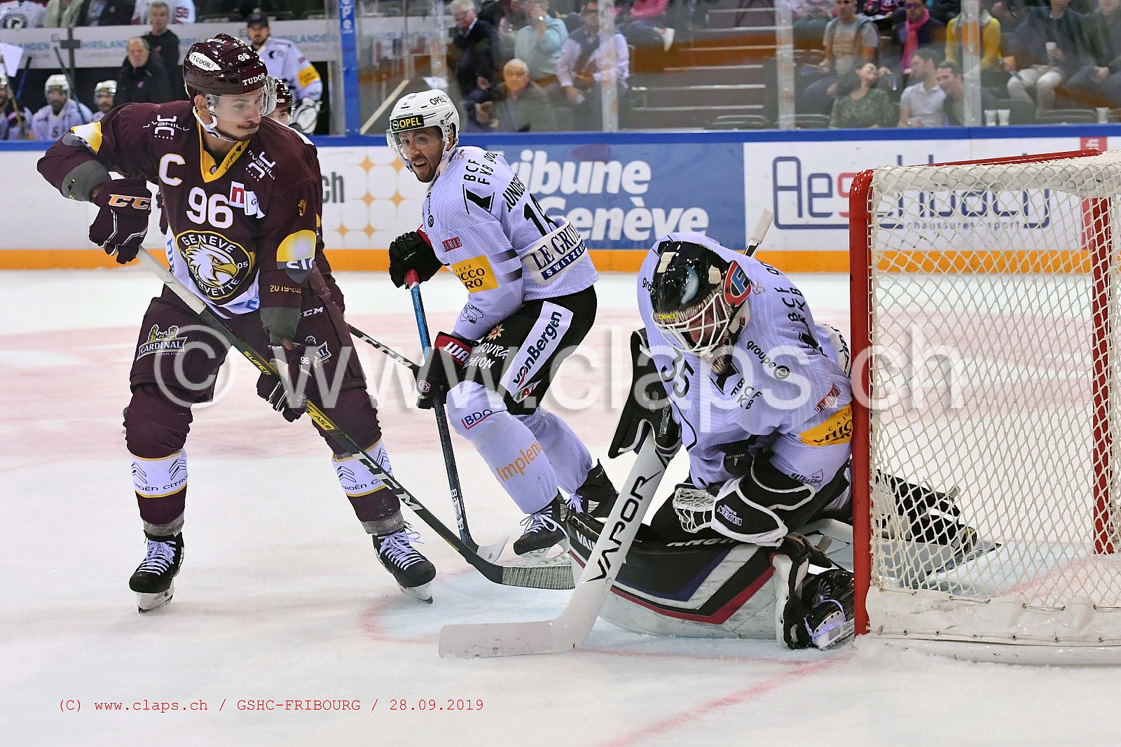GSHC - FRIBOURG