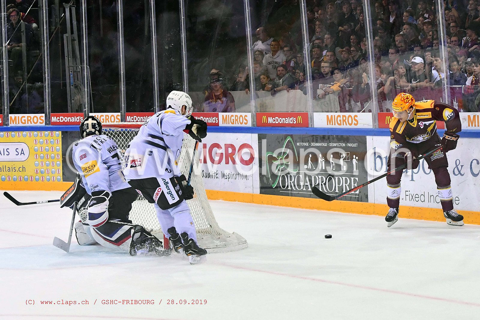 GSHC - FRIBOURG