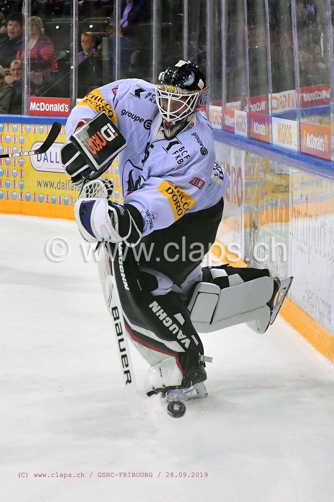 GSHC - FRIBOURG