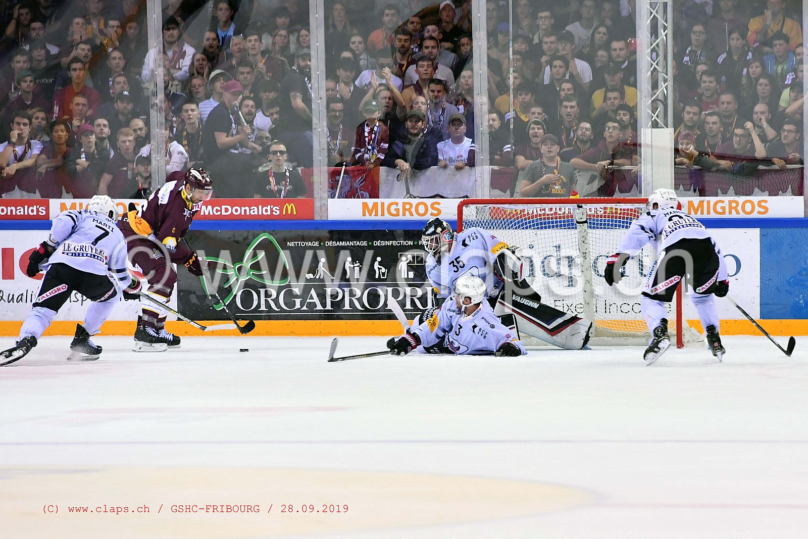 GSHC - FRIBOURG