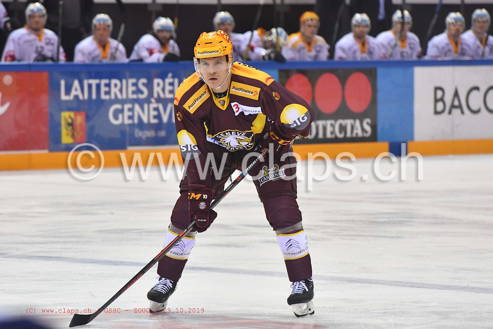 GSHC - ZOUG