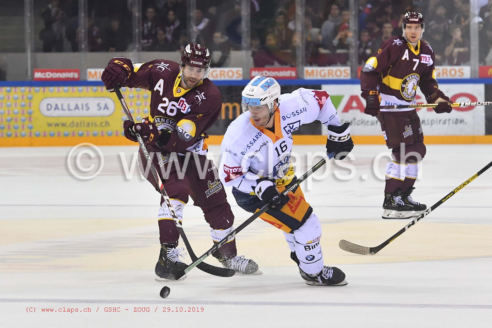 GSHC - ZOUG
