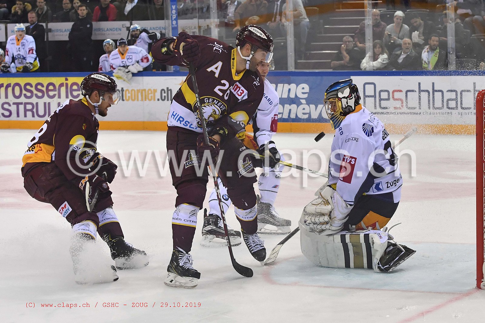 GSHC - ZOUG