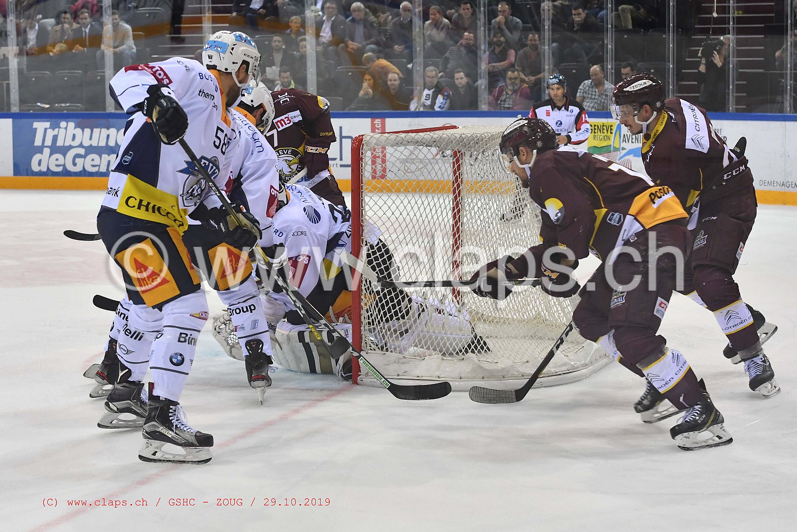 GSHC - ZOUG
