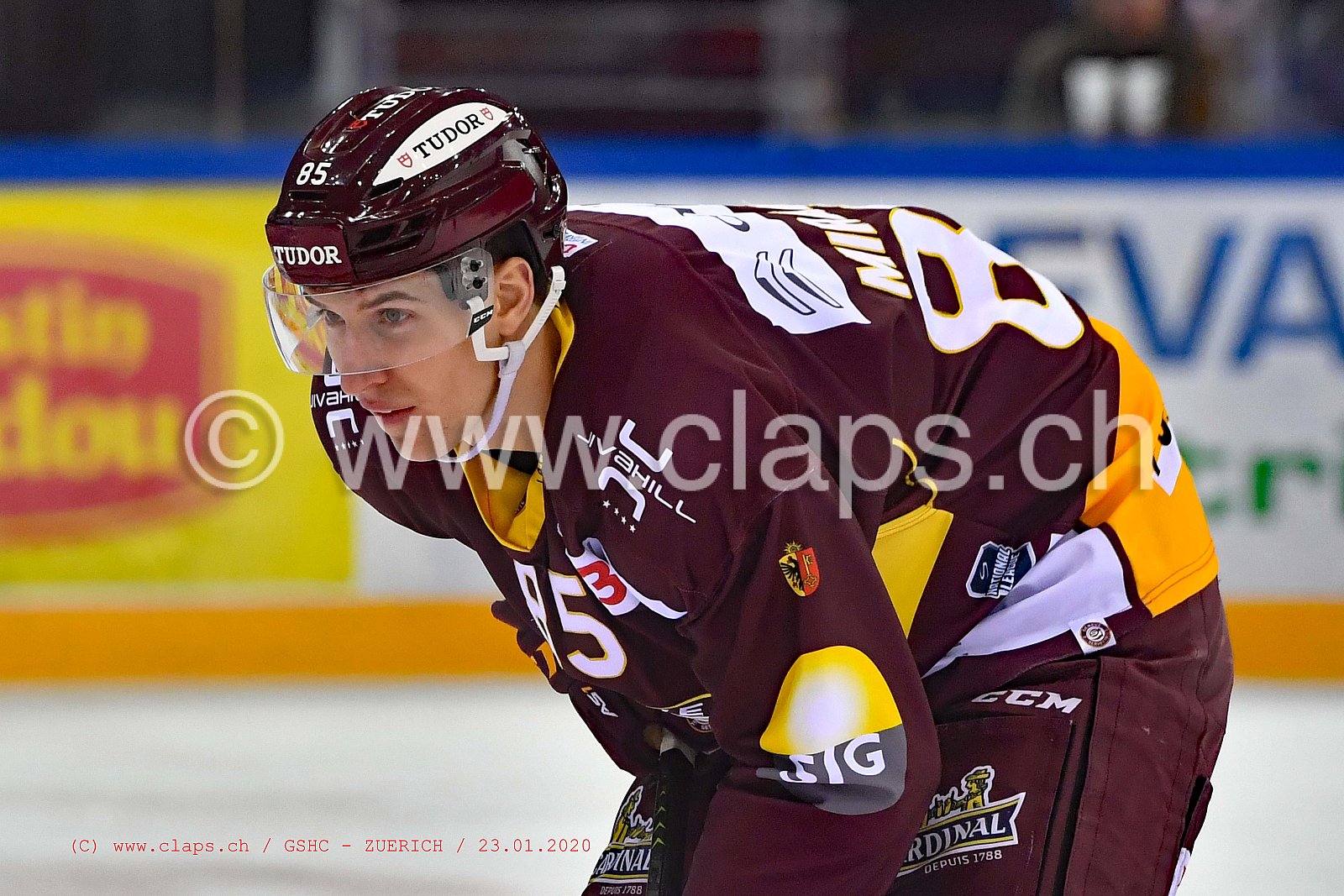GSHC - ZUERICH
