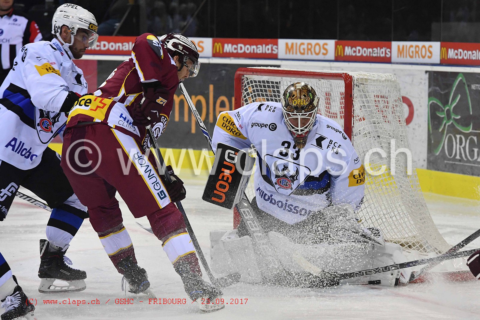 GSHC - FRIBOURG
