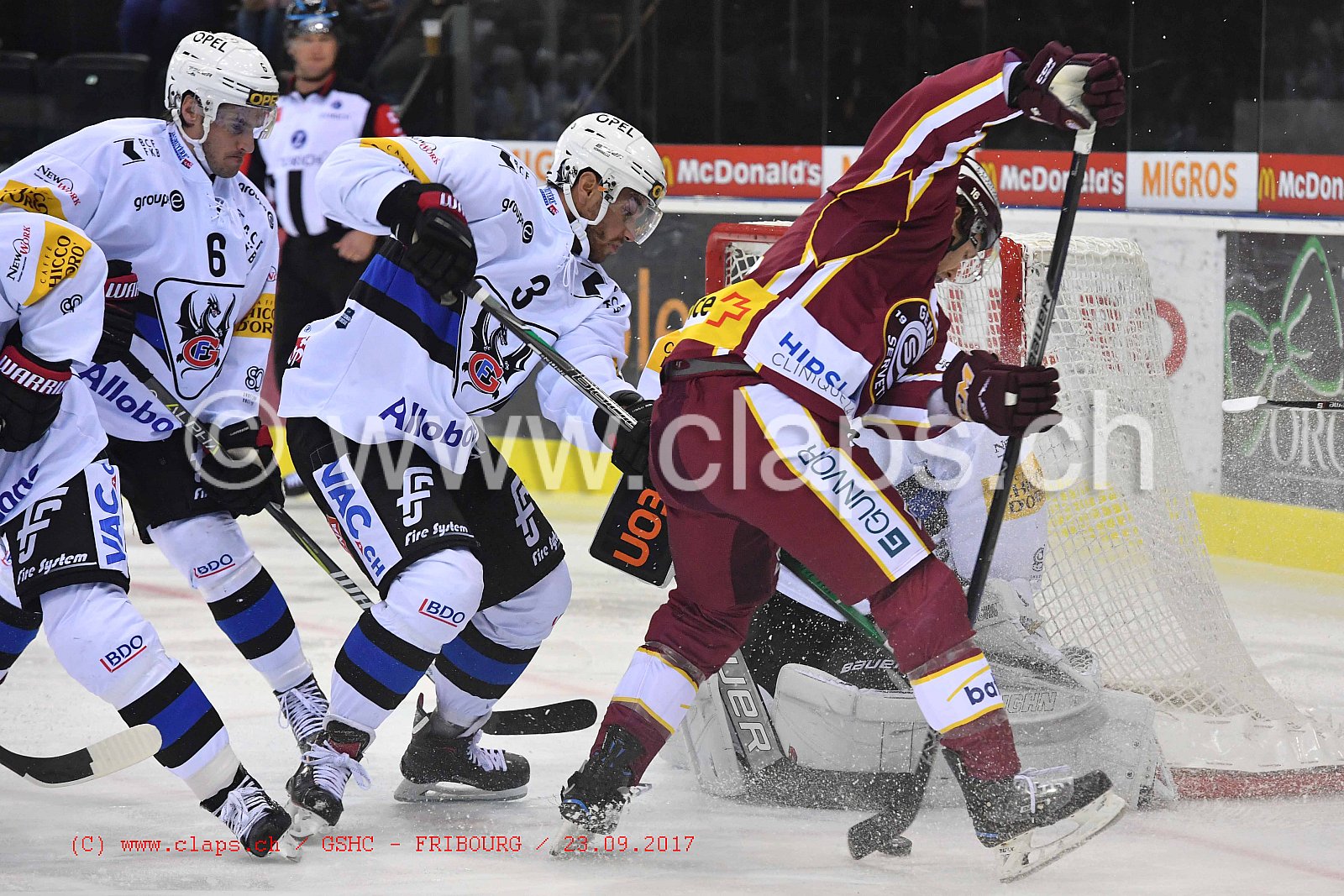 GSHC - FRIBOURG