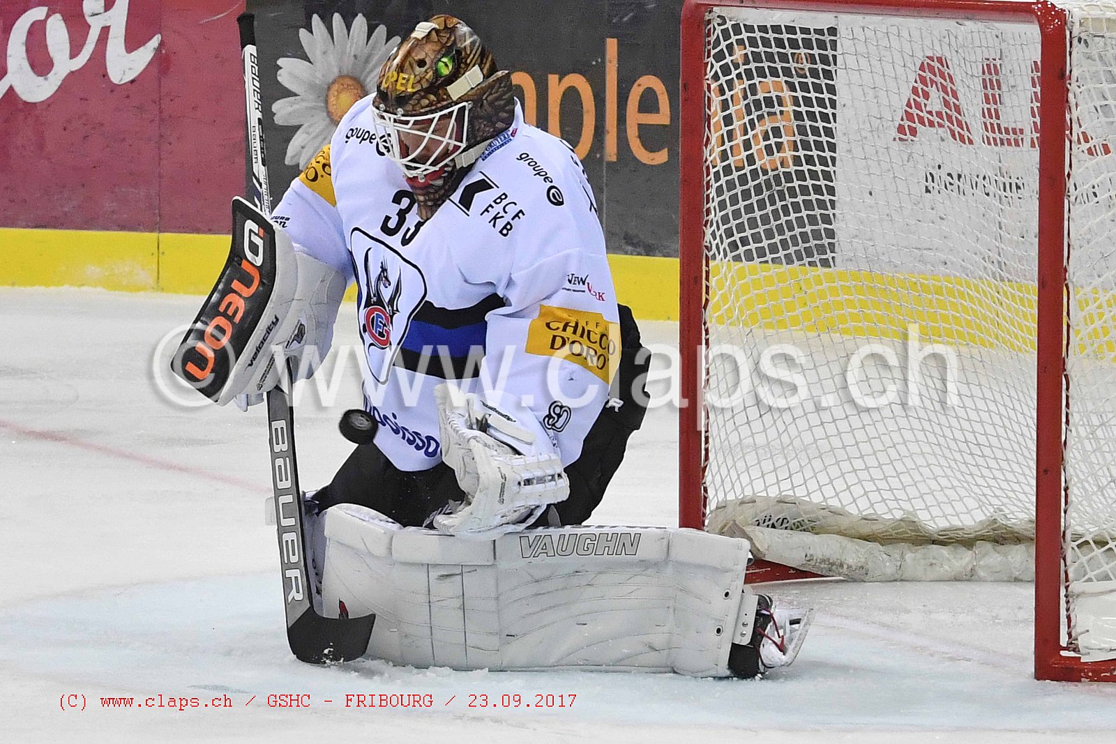 GSHC - FRIBOURG