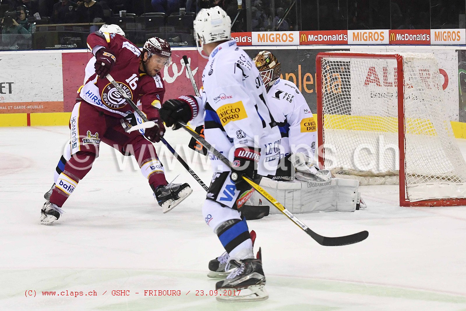 GSHC - FRIBOURG