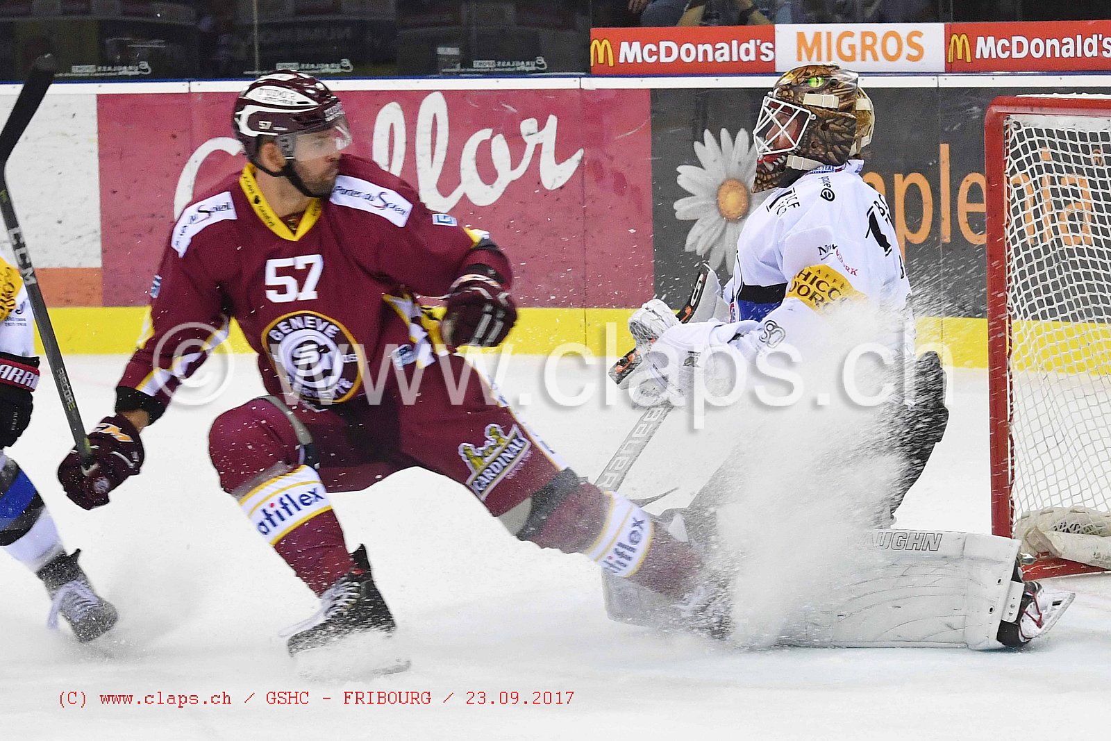 GSHC - FRIBOURG