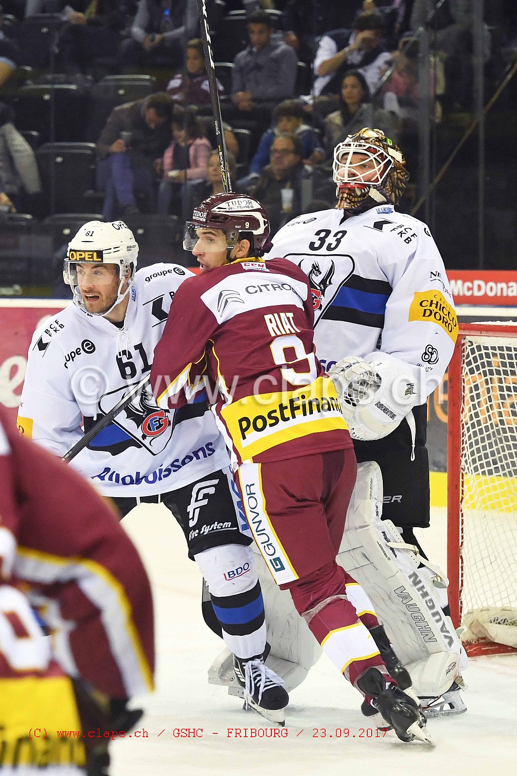 GSHC - FRIBOURG