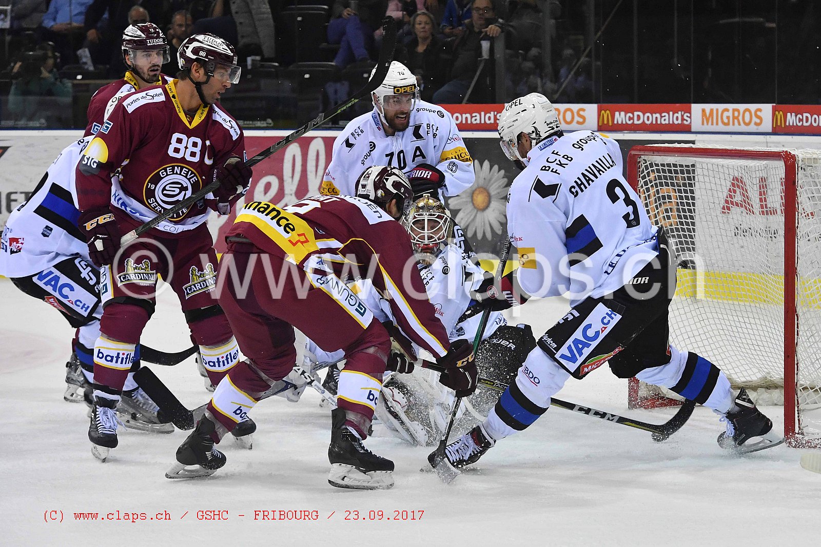GSHC - FRIBOURG