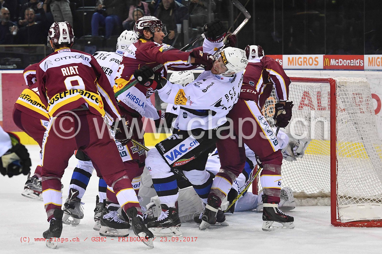 GSHC - FRIBOURG