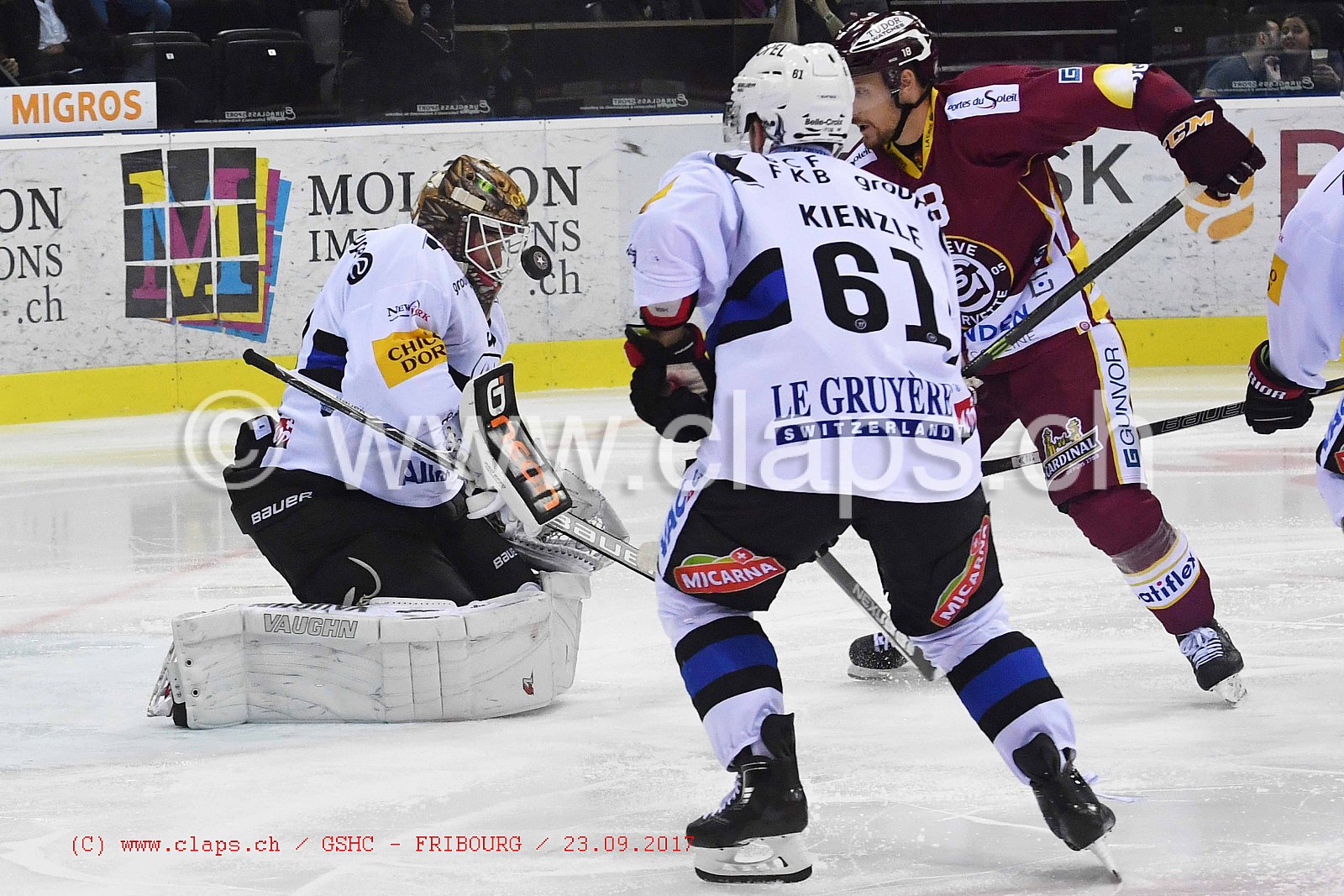 GSHC - FRIBOURG