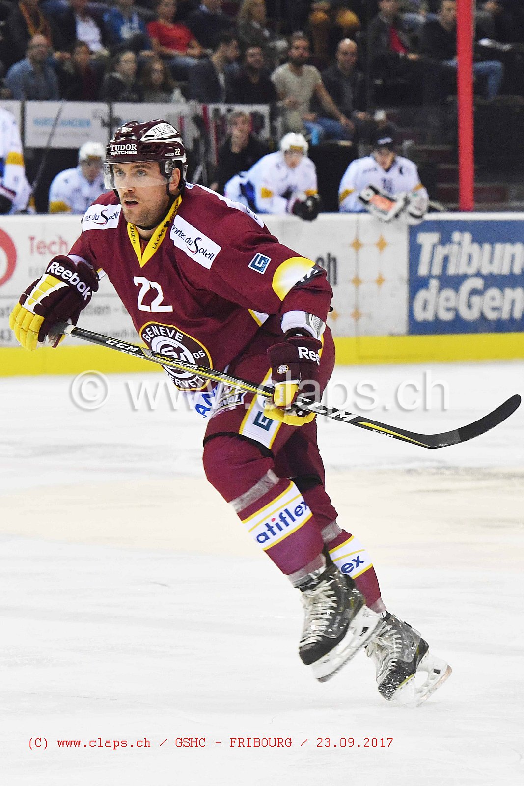 GSHC - FRIBOURG