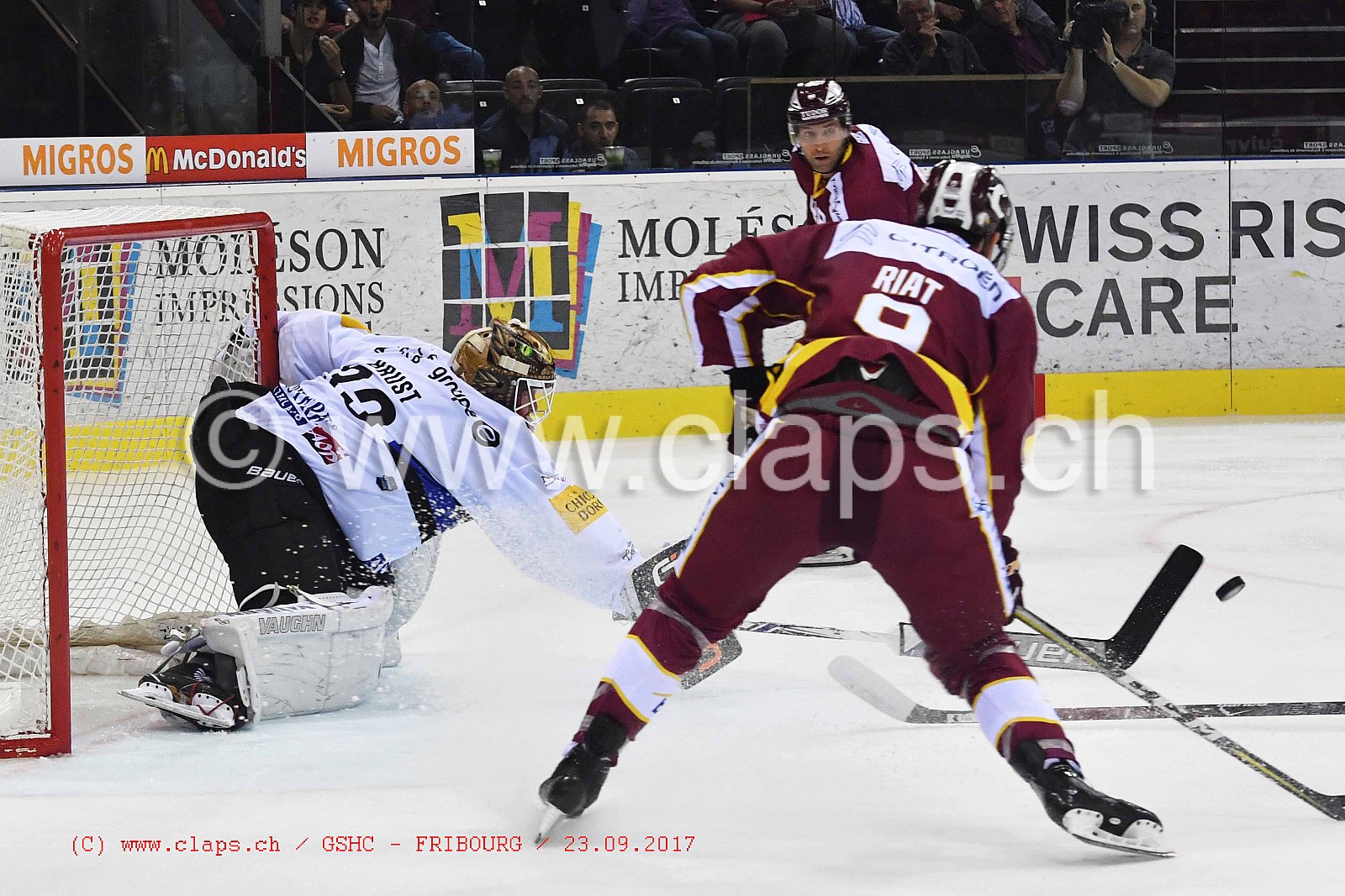 GSHC - FRIBOURG