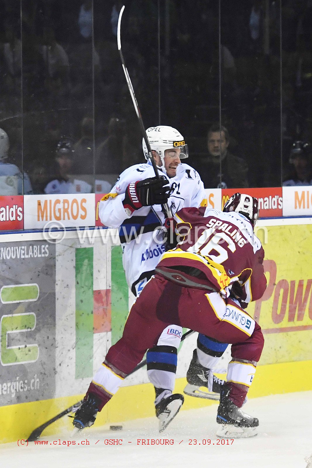 GSHC - FRIBOURG