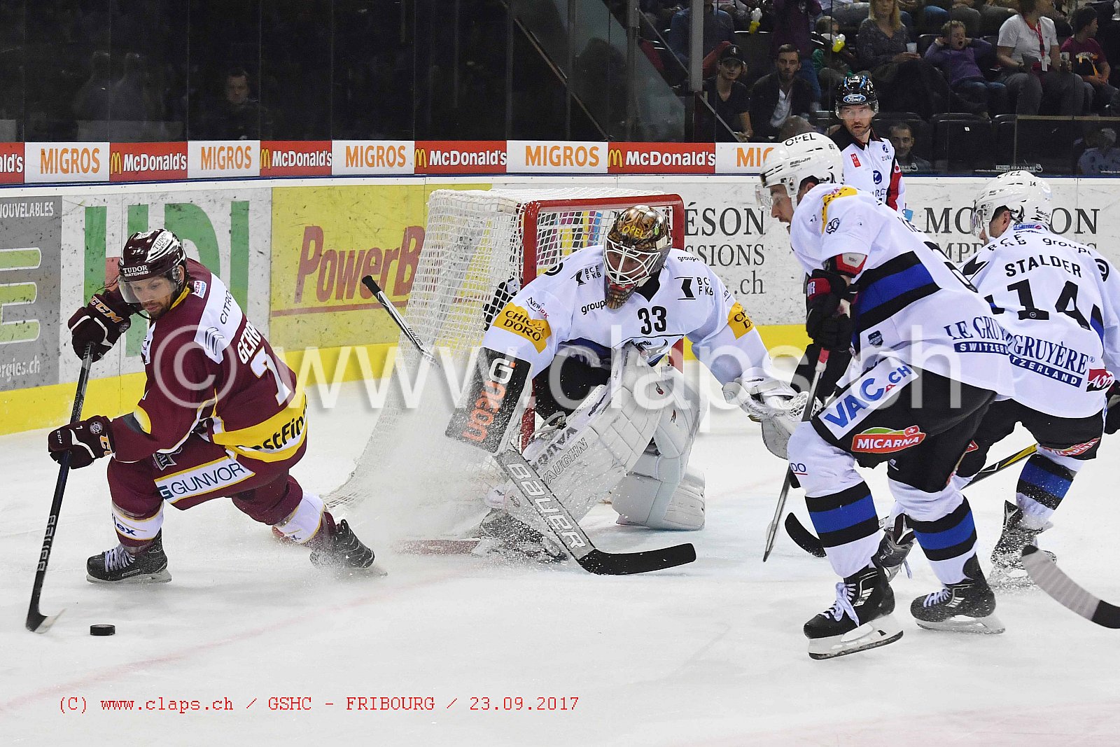 GSHC - FRIBOURG