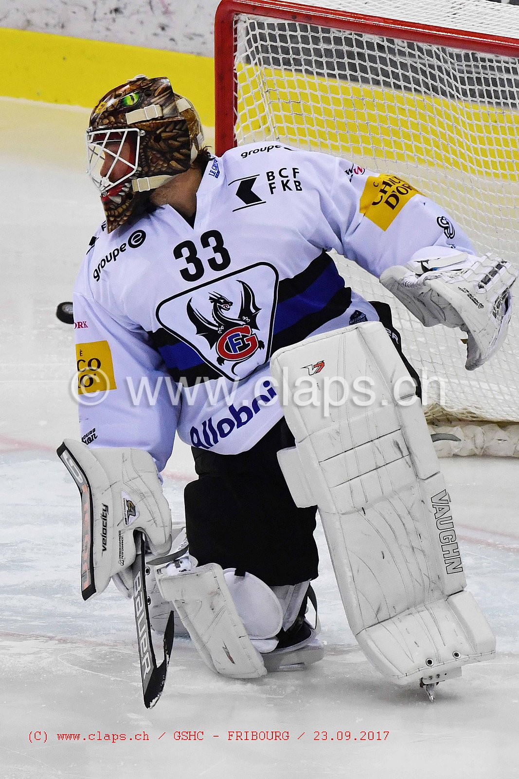 GSHC - FRIBOURG