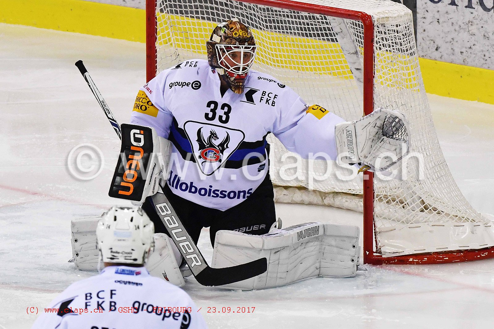 GSHC - FRIBOURG