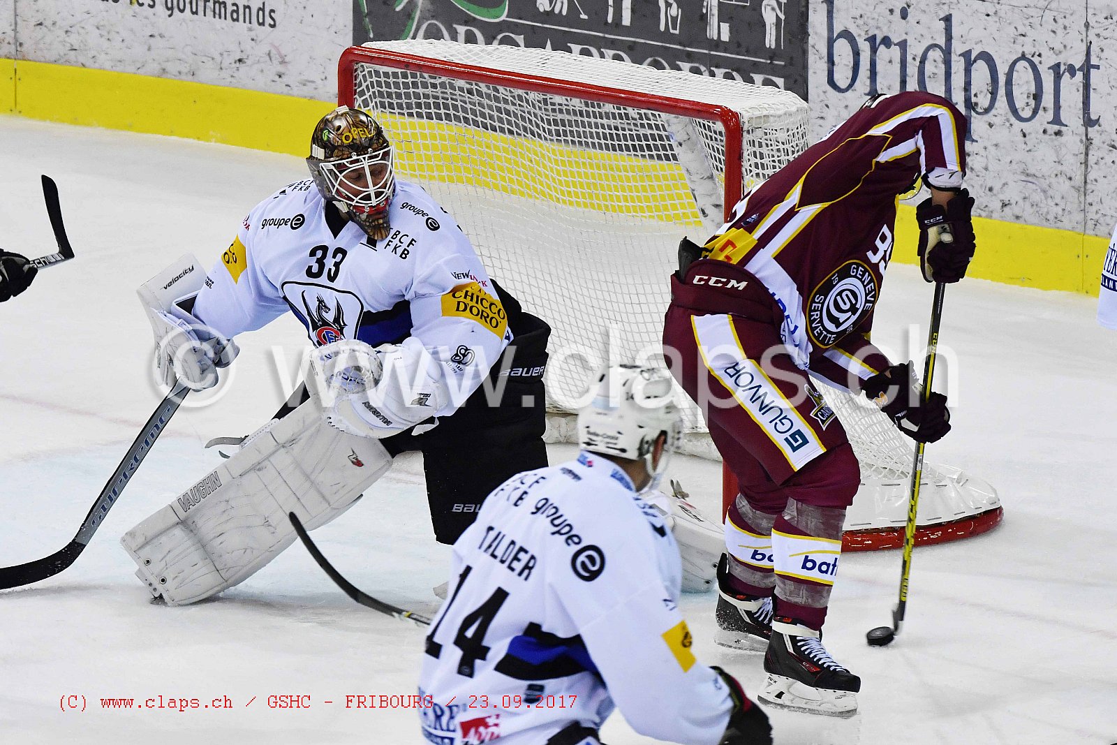 GSHC - FRIBOURG