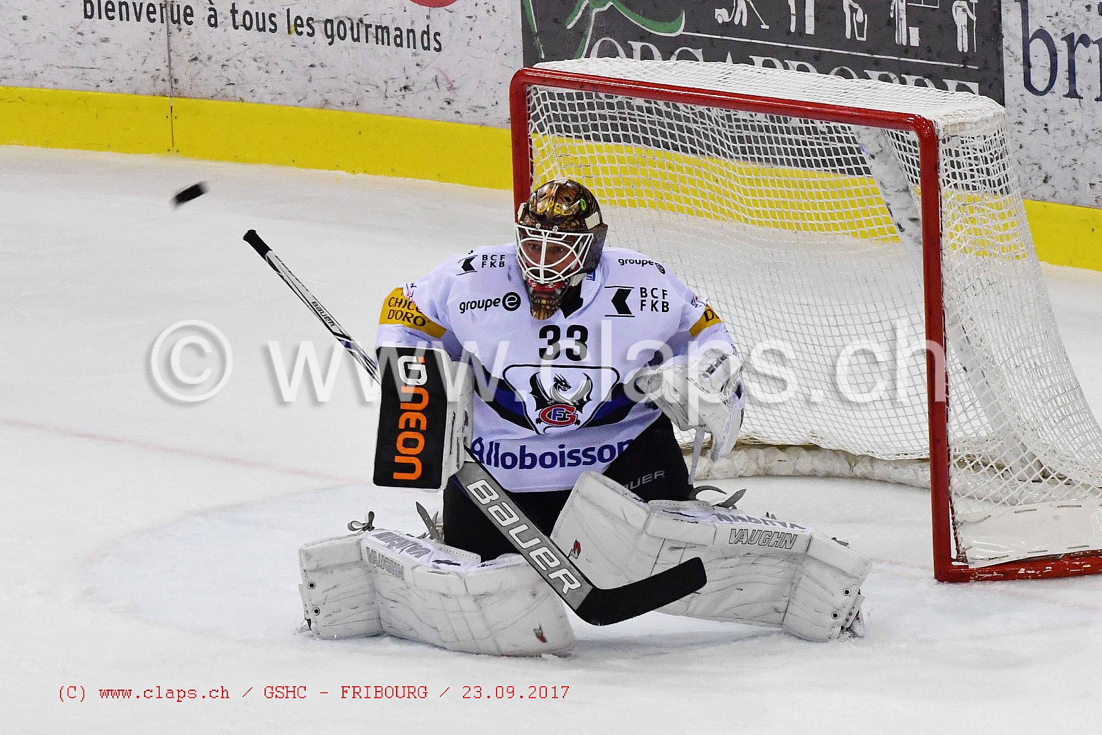 GSHC - FRIBOURG