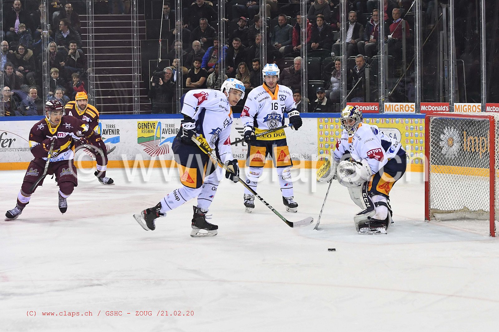 GSHC - ZOUG