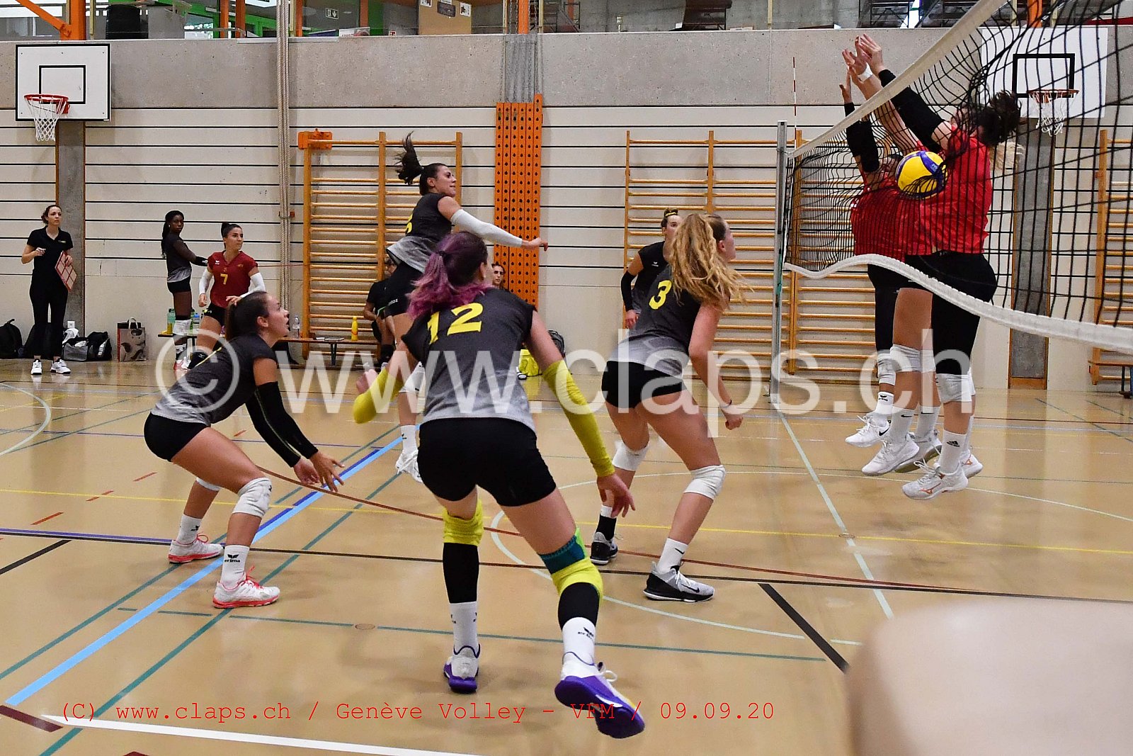 Genève-Volley - VFM