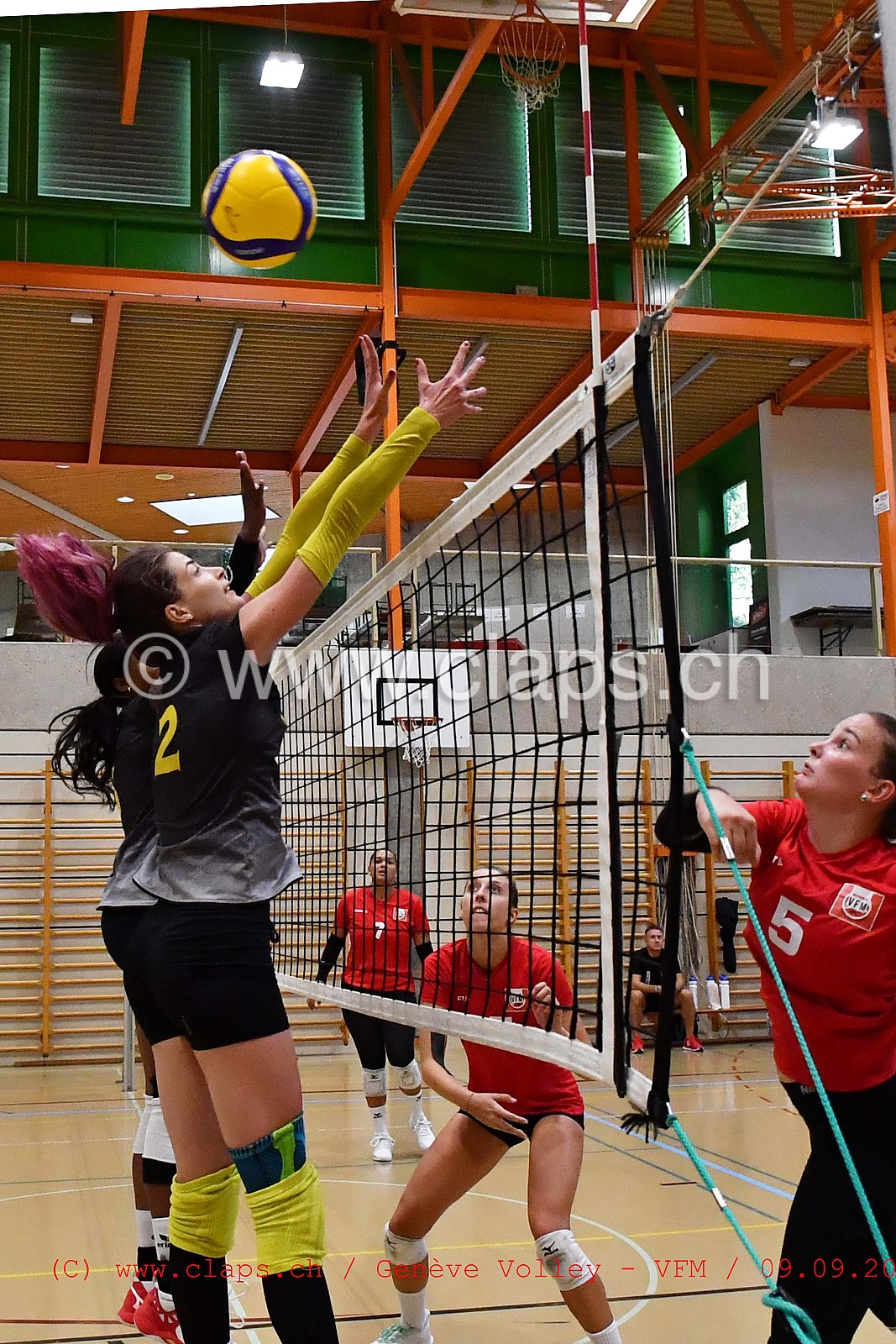 Genève-Volley - VFM