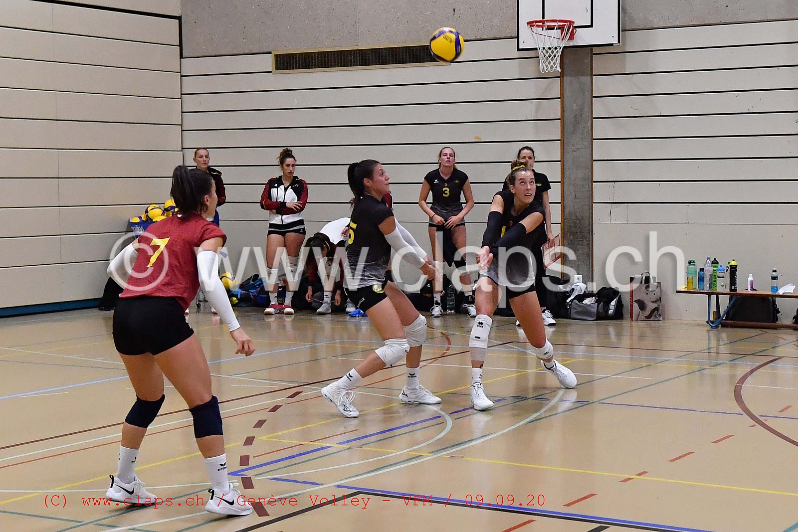 Genève-Volley - VFM