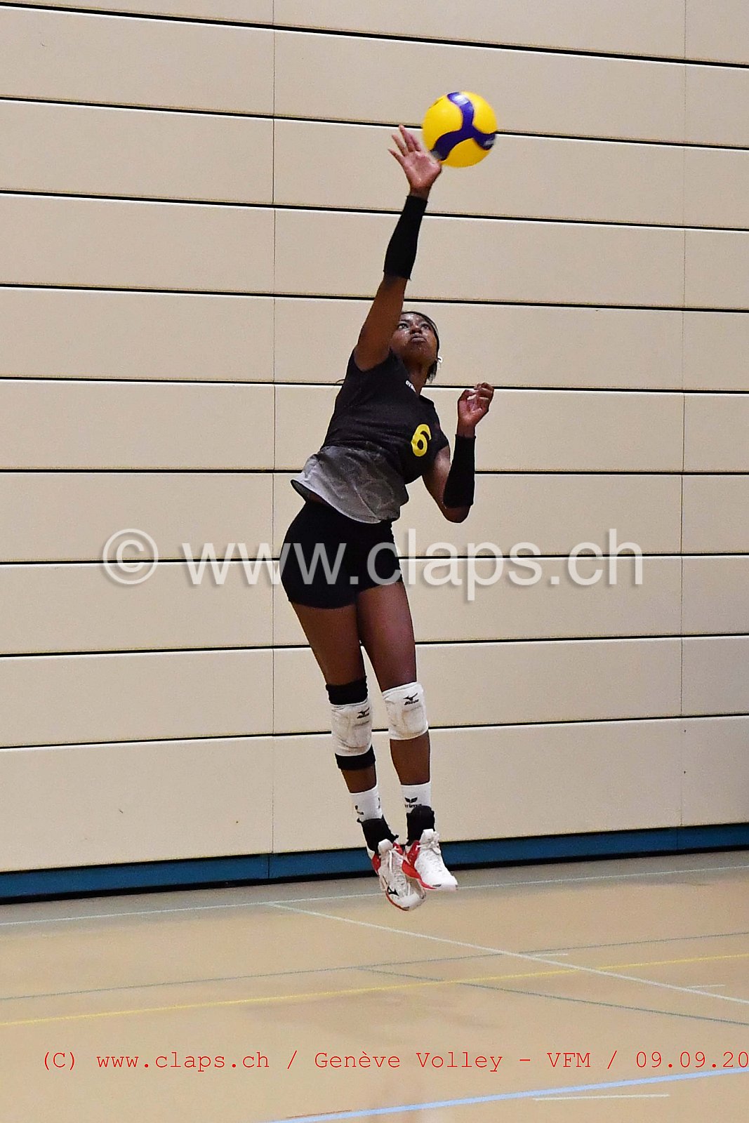 Genève-Volley - VFM