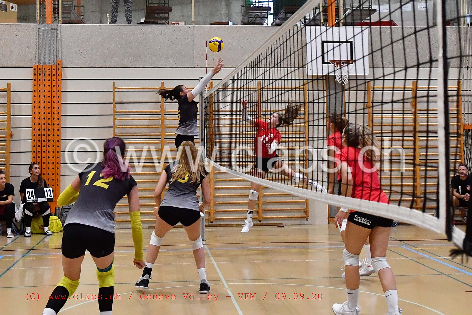 Genève-Volley - VFM
