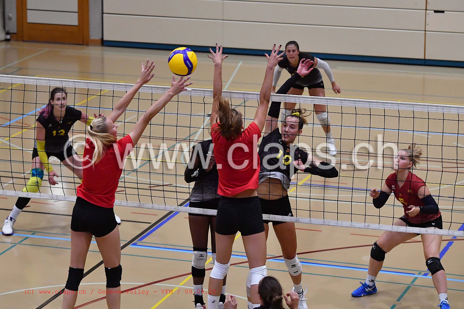Genève-Volley - VFM