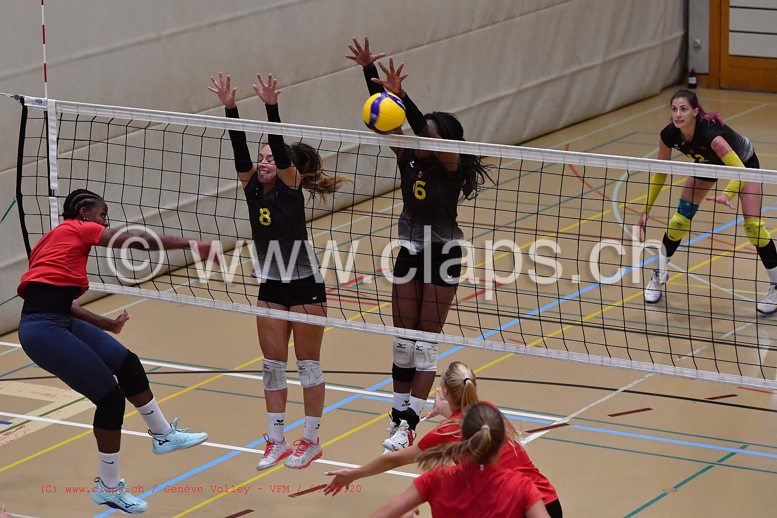 Genève-Volley - VFM